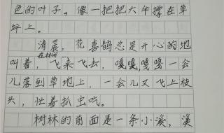 小区的风景作文四百字 小学生风景作文