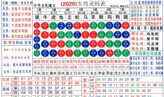 2020年鼠年寓意 2020生肖号码波色表图