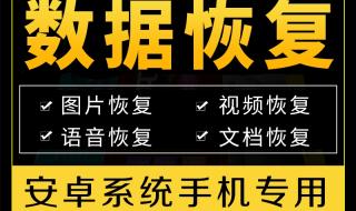 摄像机媒体格式化怎么恢复 格式化文件恢复软件